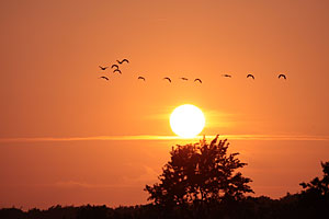 Sonnenuntergang an der Ostsee